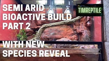 Semi arid / desert bioactive vivarium build for reptiles PART 2 and new species reveal!