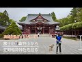【茨城分県ガイド登山】4K 笠間市　富士山　佐白山から笠間稲荷神社を巡る　#低山 #茨城  #柴犬