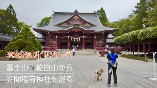 【茨城分県ガイド登山】4K 笠間市　富士山　佐白山から笠間稲荷神社を巡る　#低山 #茨城  #柴犬