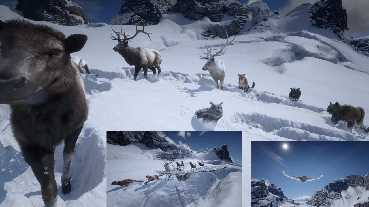 In seiner Liebe und aus Mitgefühl (Jesaja 63:9)