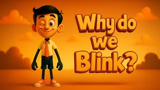 Celebrity Why do we Blink? | #aumsum #kids #education #science Net Worth