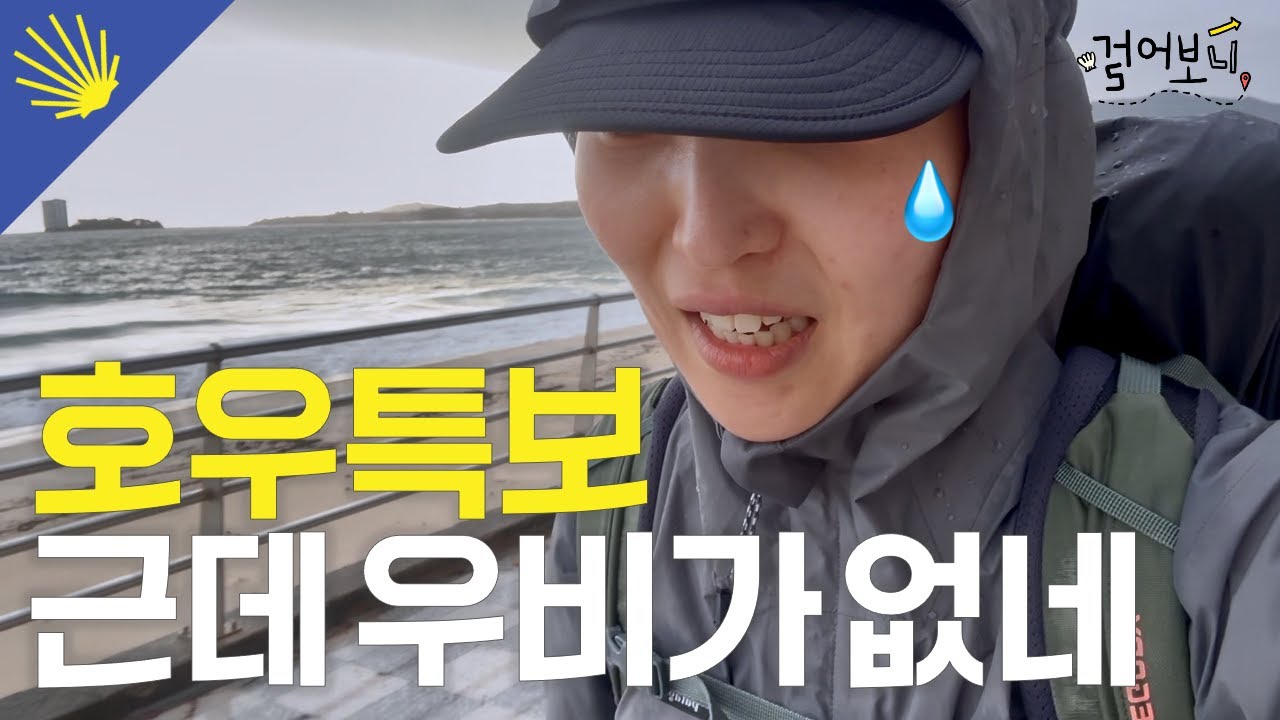 🥾 산티아고 순례길 8일차: 그래도 순례길은 계속된다
