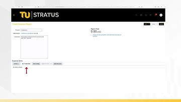 Creating a Travel Expense Report