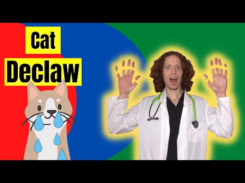 Vídeo: Por que você nunca deve declaw gatos