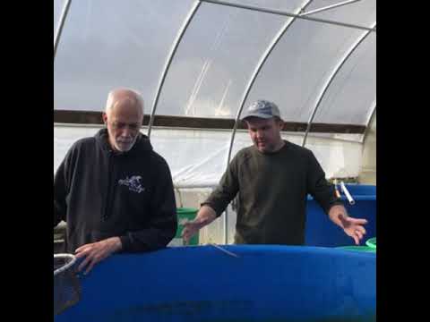 Sunland Water Gardens At Blueridge Fish Hatchery Youtube