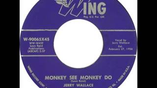 Jerry Wallace - Monkey See Monkey Do