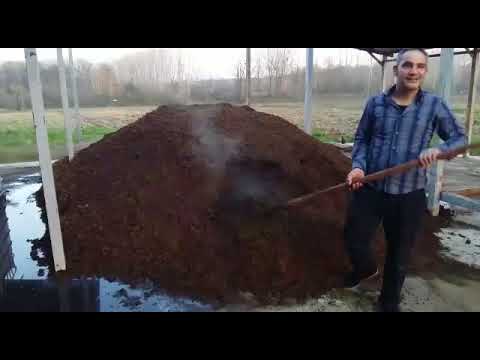 Video: Vermikompost Solucanları Öldü - Kompost Solucanları Neden Ölüyor?
