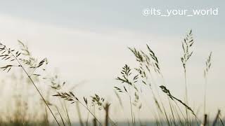 45 Seconds of Soothing 4K Soft Music 🌿🎶 (LOOP) | Gentle Visuals to Calm Your Mind screenshot 2