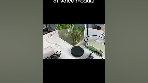 kincony application of voice module#shorts