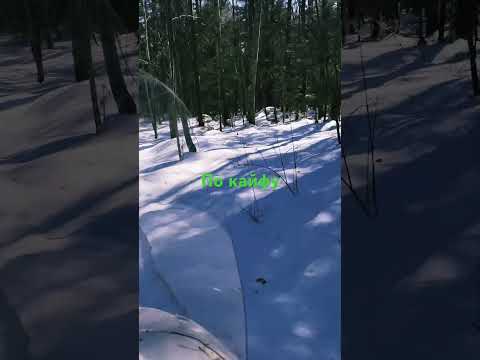 На БУРАНЕ в тайге Rap Remix Dj Love Newmusic Producer Housemusic