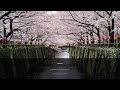 五月の青空、風に乗せて | Tokyo Weather Music 2026-05-16