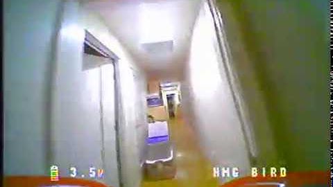 First Flight Newbeedrone Hummingbird FC with Gold Motors