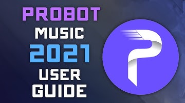 Playing Music with ProBot - 2021 User Guide - Discord Music Bots