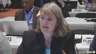 CMS COP12 - 26/10/2017 - 4th day afternoon session, Committee of the Whole, Manila, Philippines