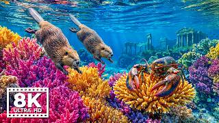 Serene Marine Paradise 8K ULTRA HD 🐟 Ocean Sounds  Tropical Aquarium Life