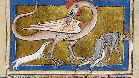 How to install Basilisk, a better alternate browser