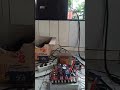 Tess BTL 140 Watt pakai speaker STX