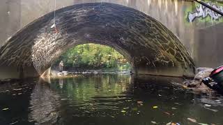 pennypack creek trout fishing fall 2022