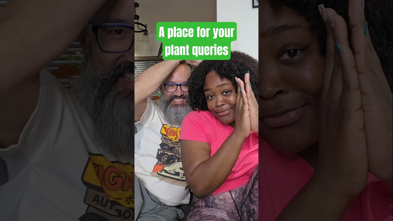 A place for all your plant questions 🪴 #misfitsandmatcha #planteducation #houseplants