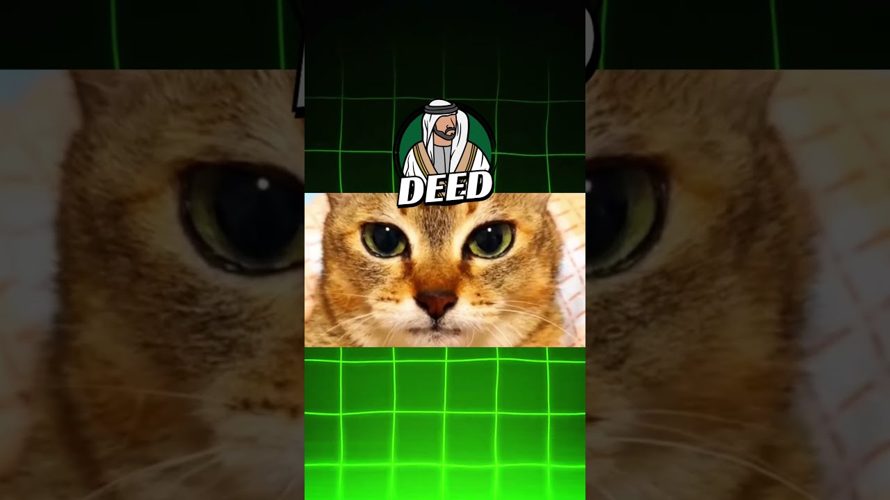 بدل ما يهرب… اتقتل