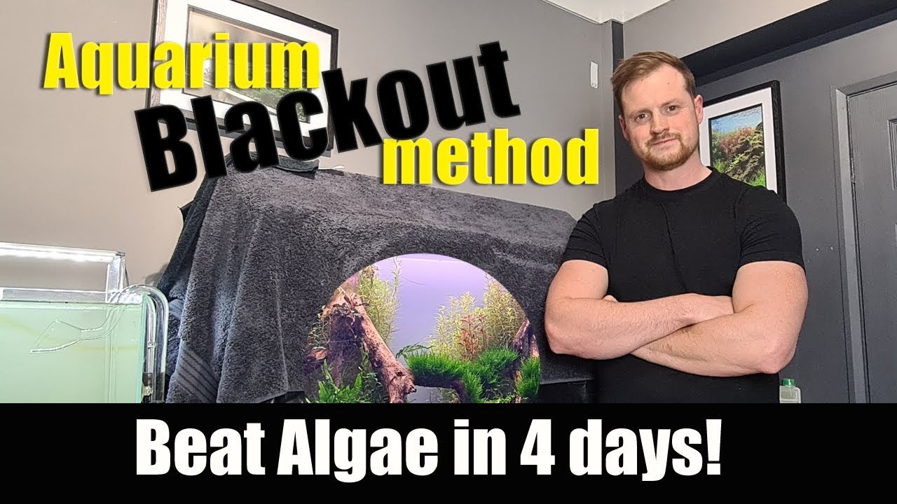 aquarium blackout method setup