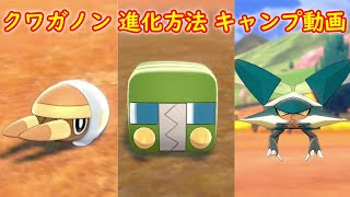 アゴジムシ デンヂムシ クワガノン 進化方法 攻略 キャンプで遊ぶ ポケモン ソード シールド ポケモン剣盾 Youtube