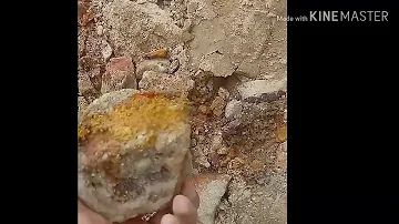 Qual ácido corroe ouro?