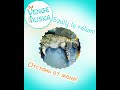 😠Februári hangulat - Февральское настроение😠 #learnhungarian #orosznyelv #венгерский #cats