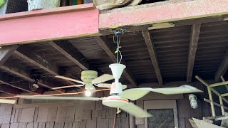 Ceiling Fan Destruction #51