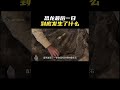 v56, 恐龙的一生。。。#分享视频 #晚上来一波 #震撼到靈魂深處