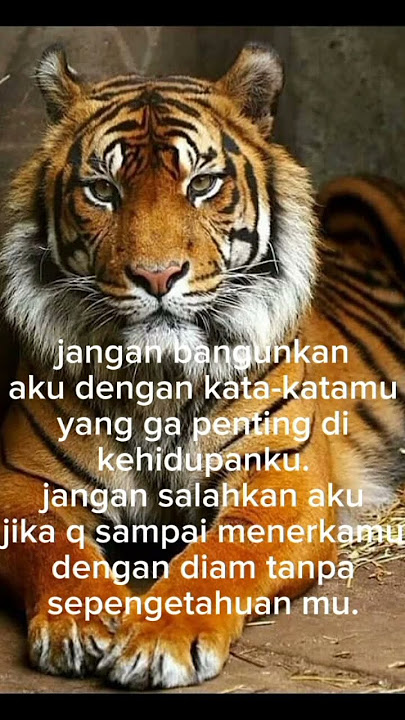 kata kata buat orang yang munafik..#shorts