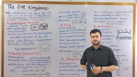 The Five Kingdoms | 9th class biology in pashto | sabar khan lectures | five kingdoms system of clas