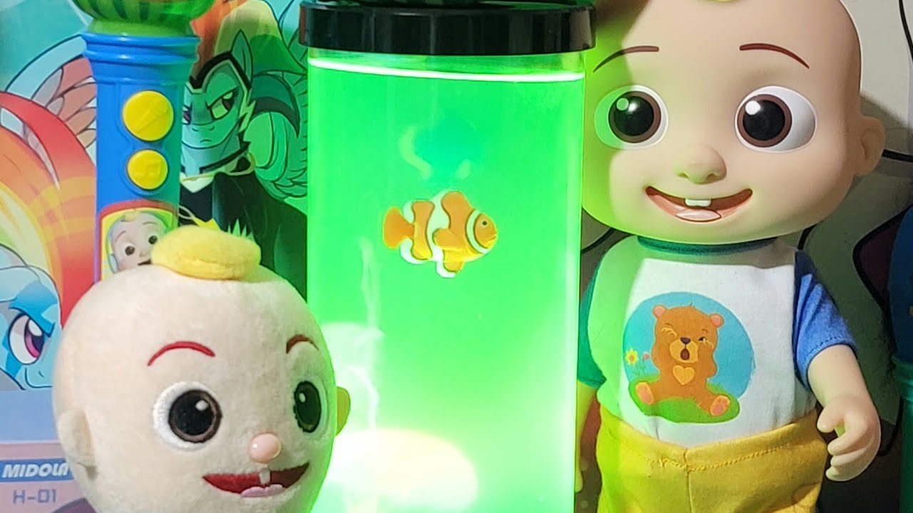 Good evening. @MMSun Channel