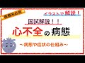 教科書をわかりやすく！「心不全の病態」〜肺水腫や浮腫、BNPなどを簡単に解説！〜