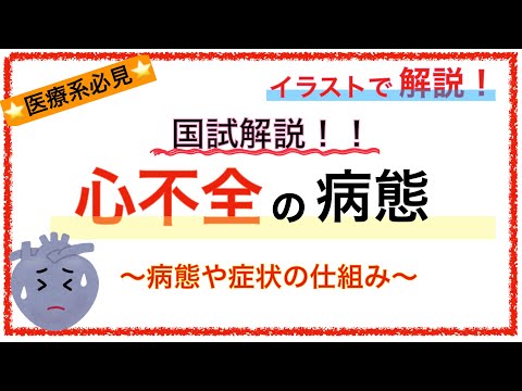 メンズns 分かりやすい医学解説チャンネル メンズns 分かりやすい医学解説チャンネル