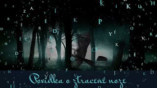 Povídka o ztracené noze - Karel Čapek