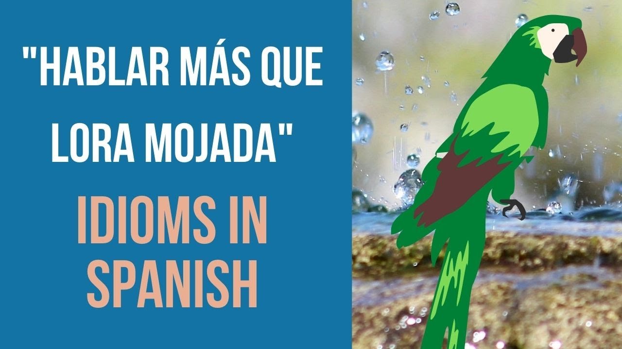 What Does hablar M s Que Lora Mojada Mean In Spanish Common Idioms