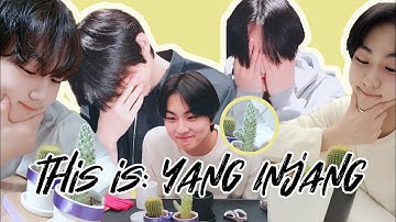 the story of enhypen’s 8th member