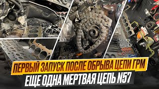 #10 Будни. Первый запуск после Обрыва цепи M57. Цепь и вкладыши 320 тысяч BMW N57. #hellcar #estonia