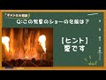 【めちゃすごかった】このショーの名前は?《ディズニークイズ!》