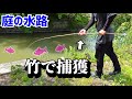庭に生えた竹で魚を狙ってみた結果…