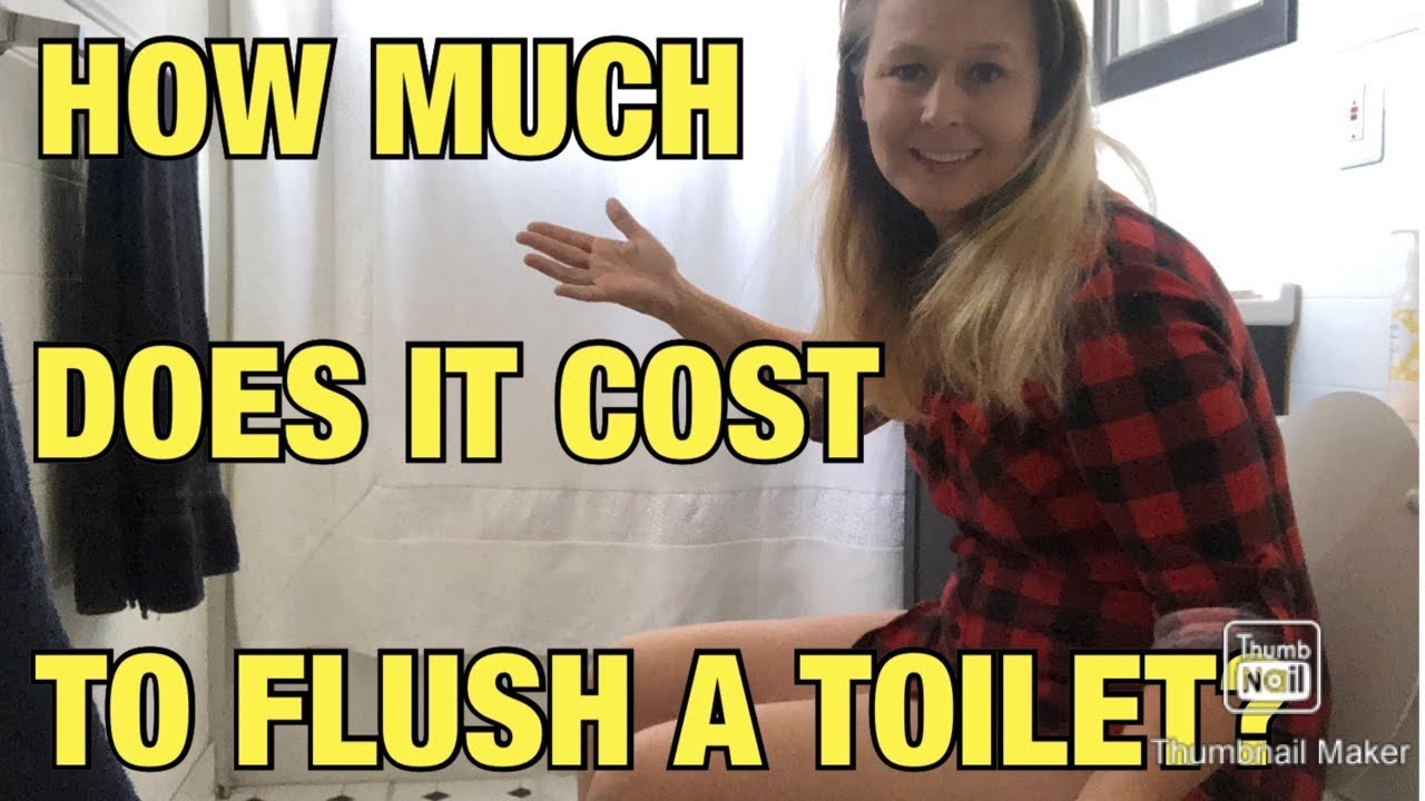 how-much-does-it-cost-to-flush-a-toilet-youtube