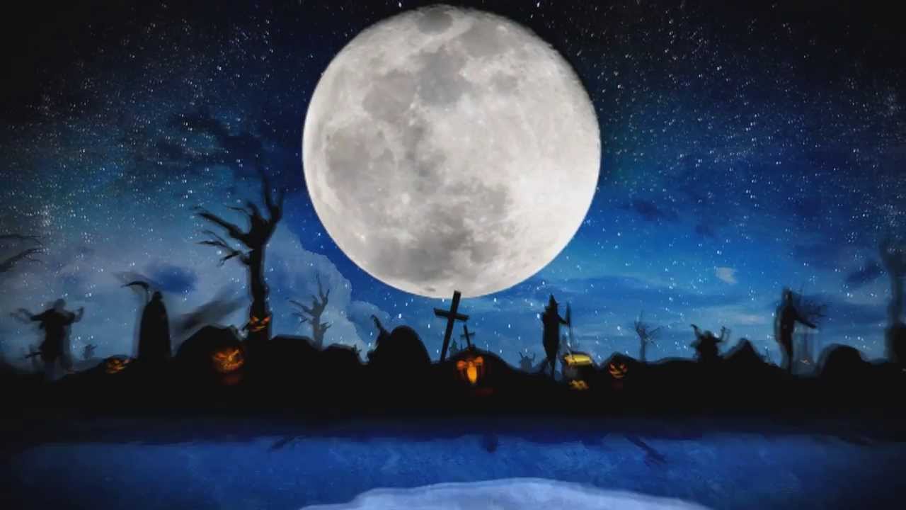 happy halloween from nzbgrabit