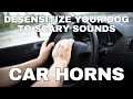 Dog Desensitization Sounds for Dogs & Puppies: Car Horns