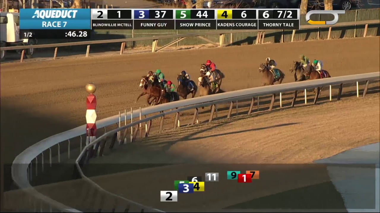 horse racing news Blindwillie McTell - 2019 - The Rego Park Stakes