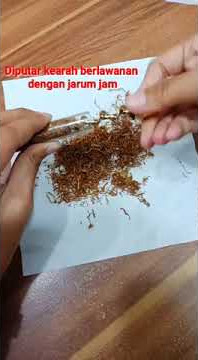 Twisty Glass Blunt Pipe Elegant #shorts #korekapi #shortvideo #pipe