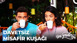 Yetişkin Bir Ev Günde Birçok Misafir Ağırlayabilir - Her Yerde Sen