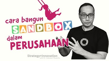 Cara Membangun Sandbox (akselerator) dalam Perusahaan | Dr. Indrawan Nugroho