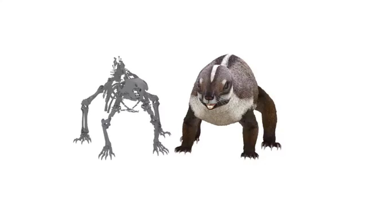 南半球最古の「幻の哺乳動物」を発見！「大陸の哺乳類とは異なる進化線