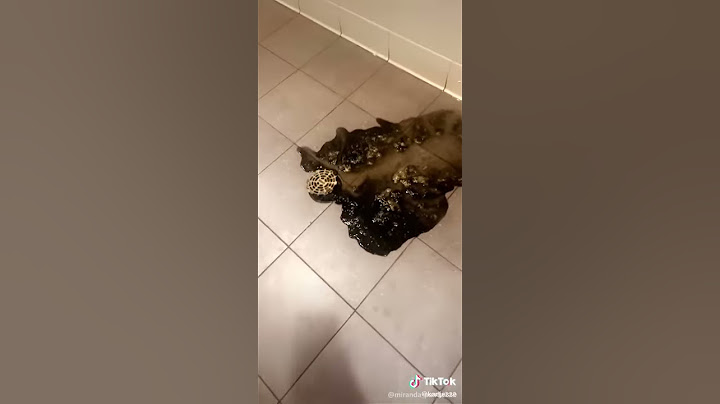Deutsche Schultoiletten